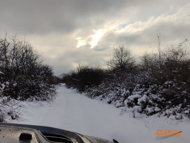 sonnenuntergang feldweg