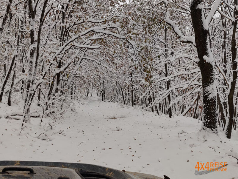 weg in den schnee